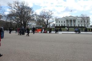 Figure 3: Protest against arbitrary detention at Guantanamo Bay.